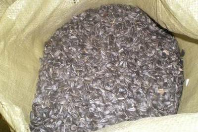 Полипропиленовые мешки и биг бэги для семечек подсолнуха в Тюмени